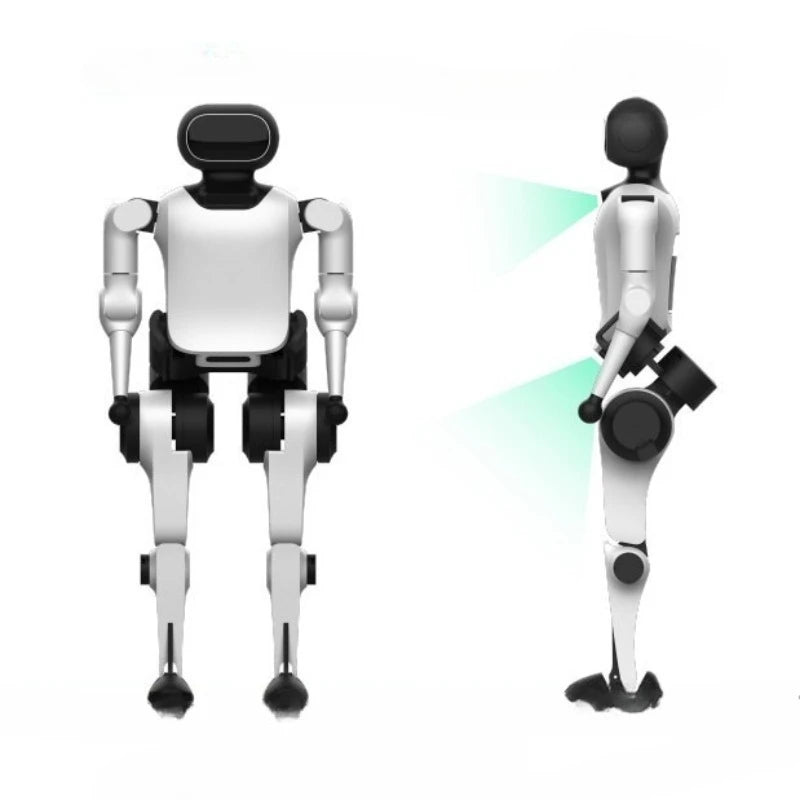 Humanoid Robot