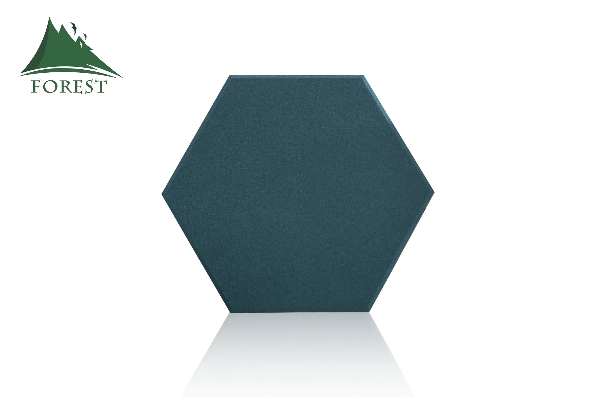 Hexagonal Acoustic Panels