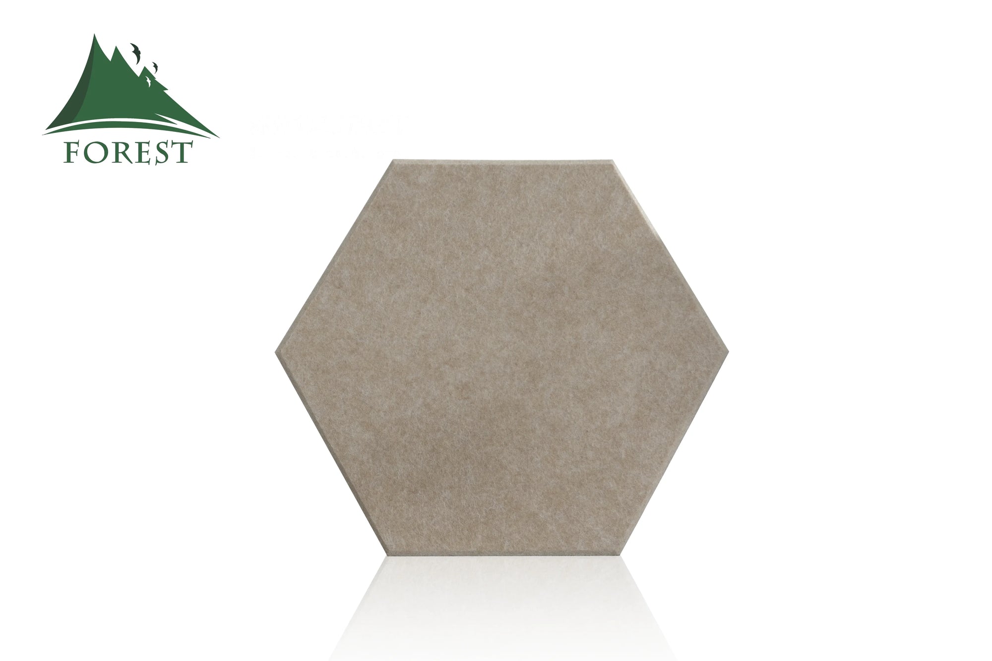 Hexagonal Acoustic Panels