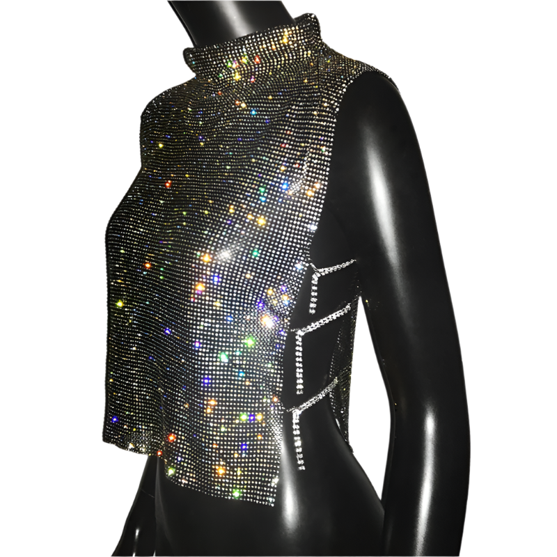 Turtleneck Metallic Top