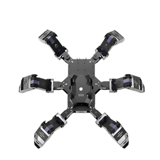 Spider Robot - Black / International