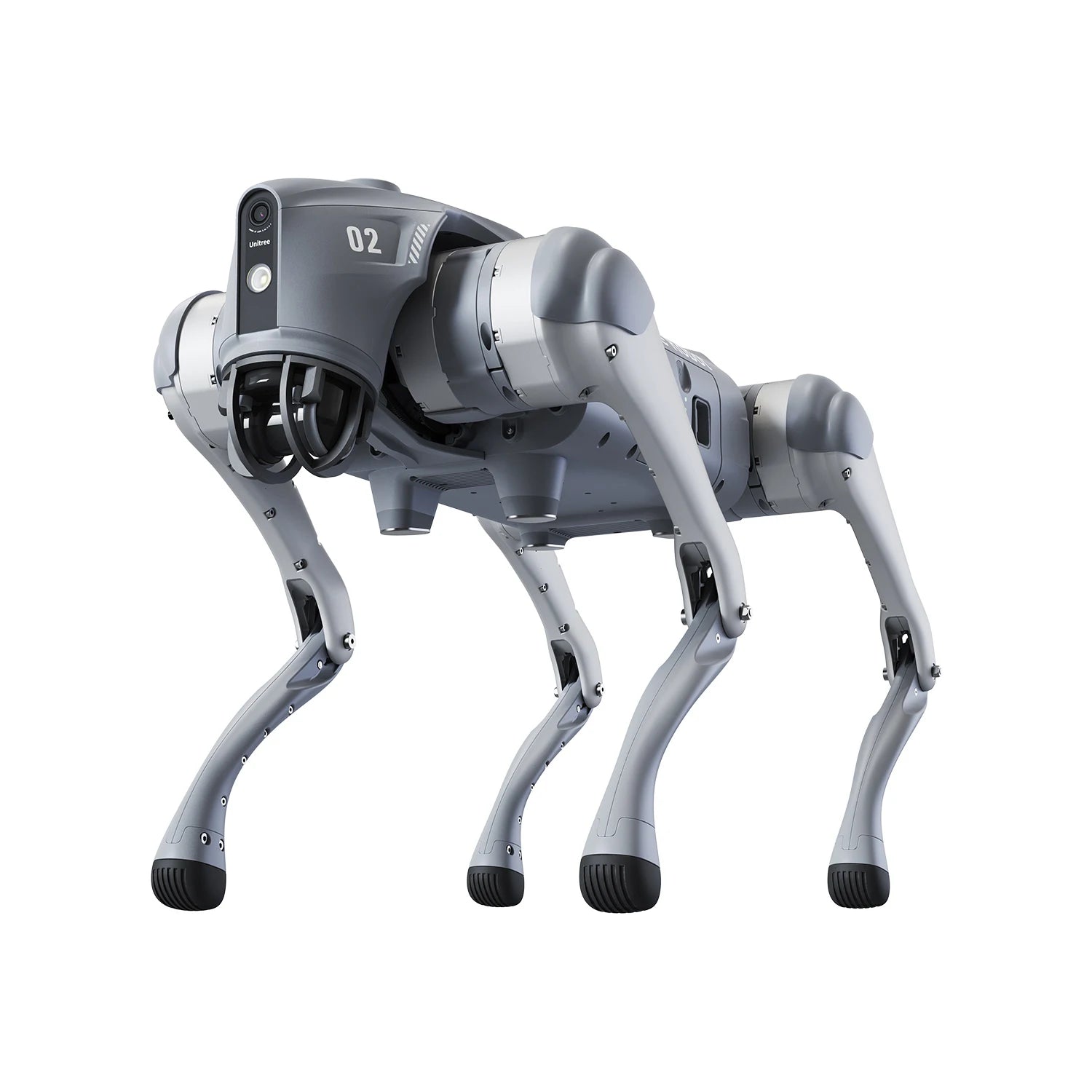 Robot Dog