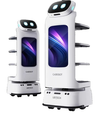 Restaurant Robot