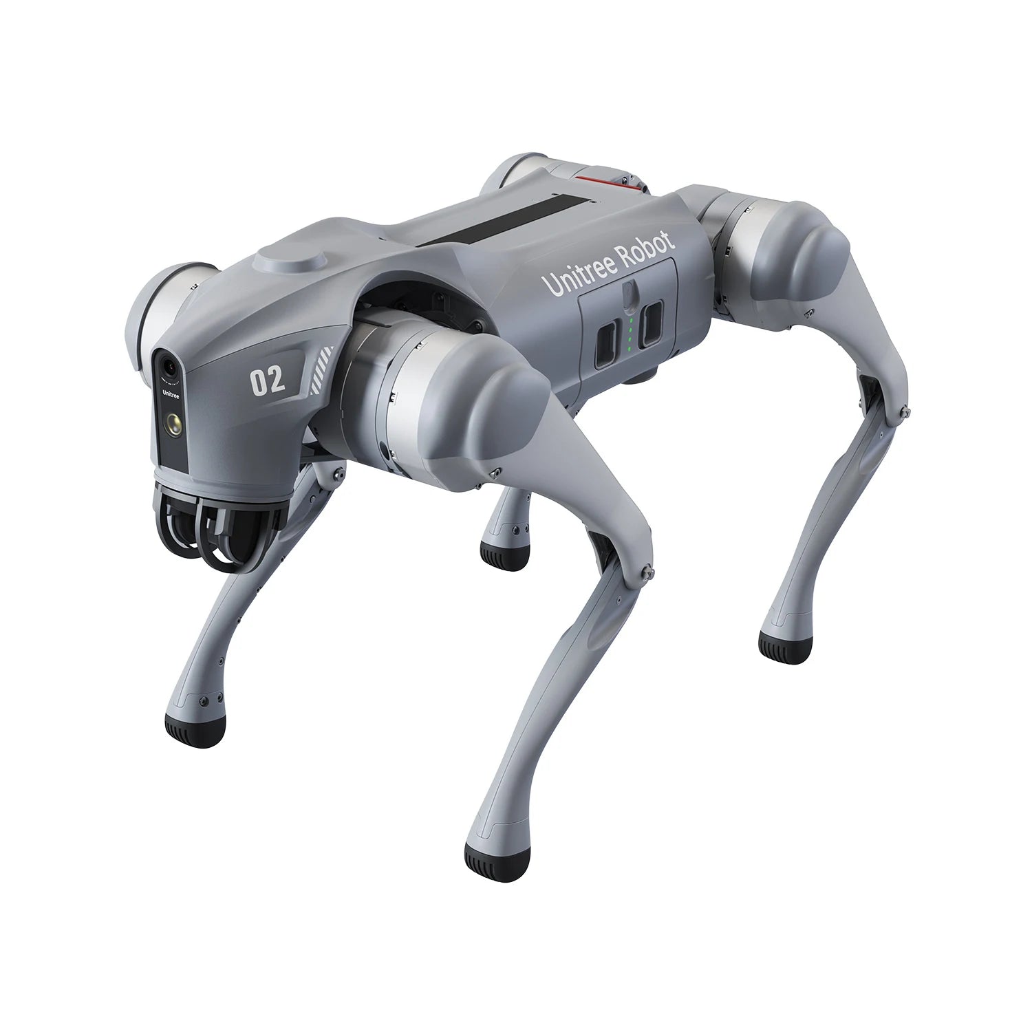 Robot Dog