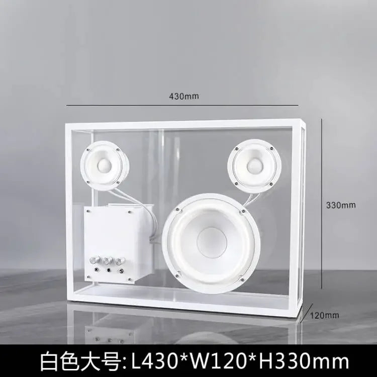 Transparent Speaker