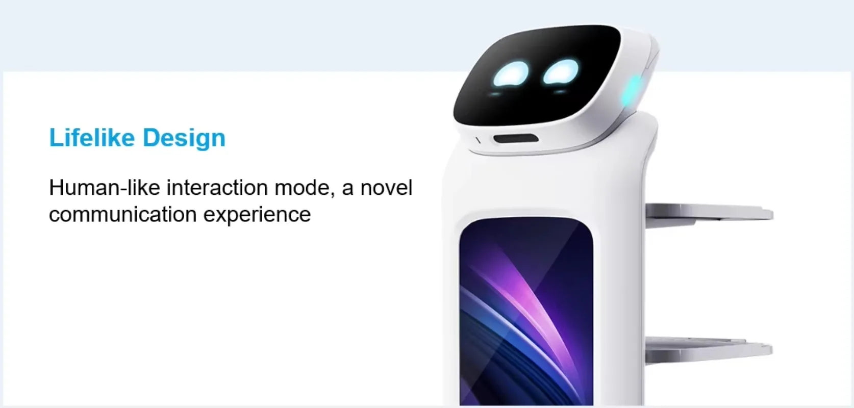 Restaurant Robot